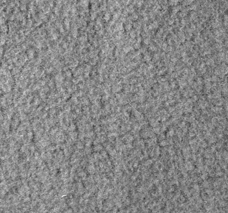 Polar-Fleece-02